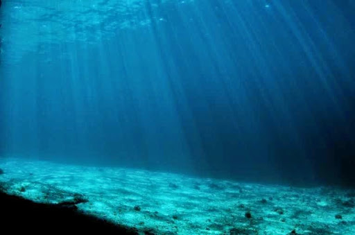 Toy Store «Big Blue Whale», reviews and photos, 237 W 19th St, Houston, TX 77008, USA