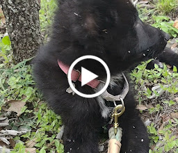 Parque Cadena Bagrash photo