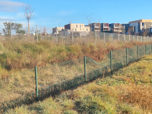 Les palettes des chiens à Montpellier