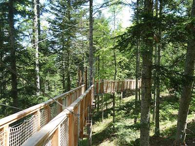 L'Odyssée Verte à Gresse-en-Vercors
