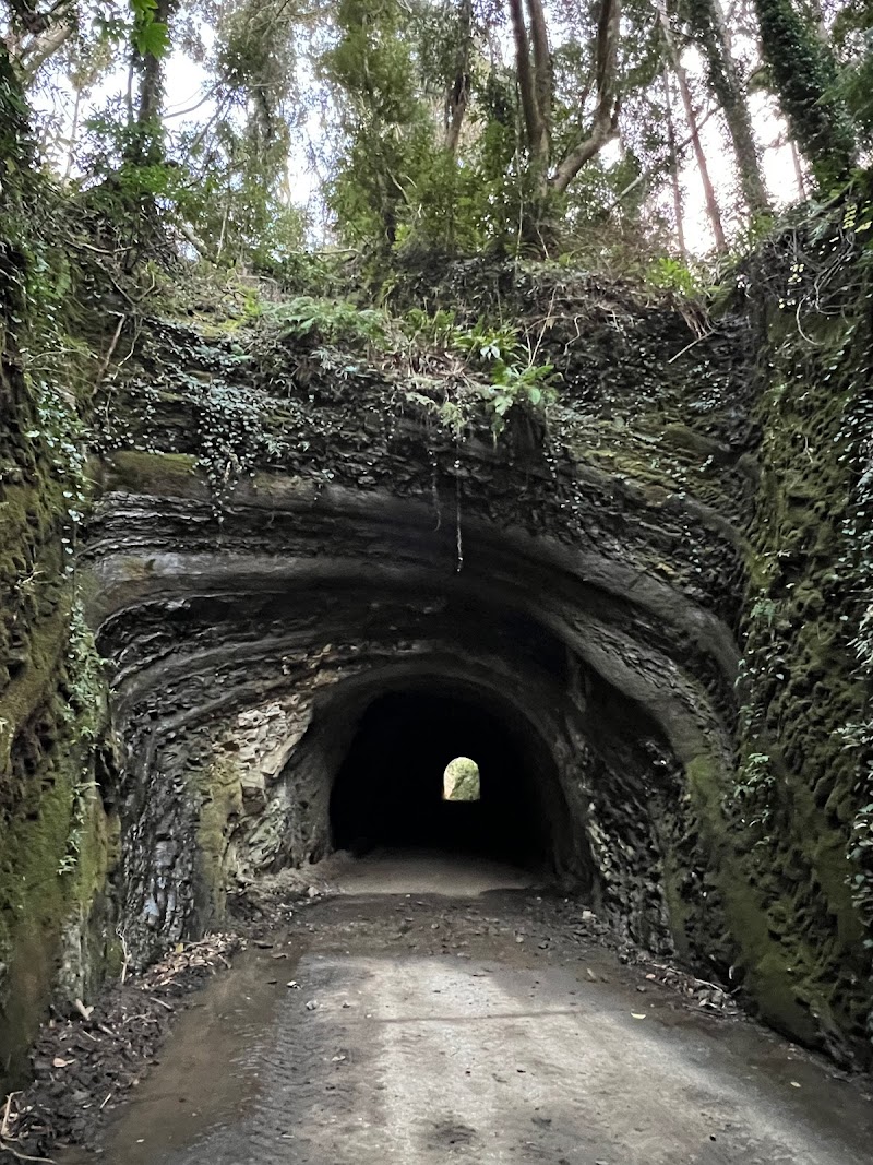 林道畑２号線素掘りトンネル