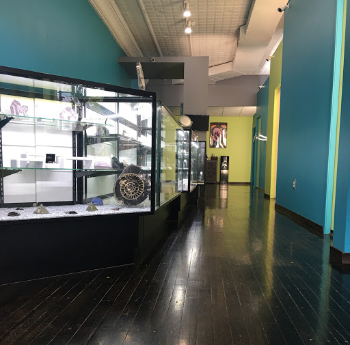 Explore fish tattoo ideas for men, creative tattoo ideas in Ann Arbor, available at Ideal Body Piercing