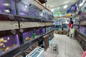 City Aquarium image