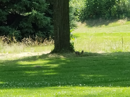 Golf Club «Cool Lake Golf Club», reviews and photos, 520 E 750 N, Lebanon, IN 46052, USA