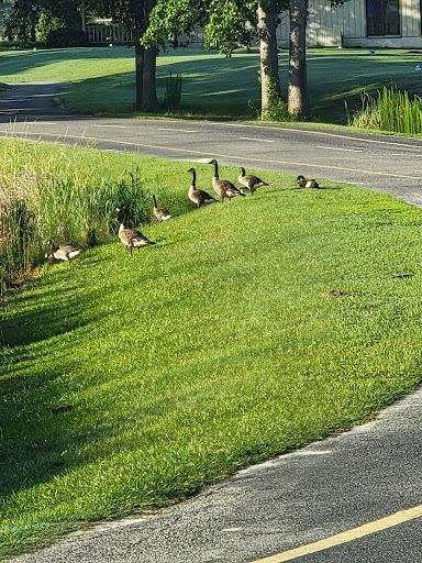 Golf Club «Fox Creek Golf Club», reviews and photos, 2433 Tomahawk Rd, Lydia, SC 29079, USA
