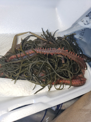 Bait Shop «Elkhorn Outdoor Sports», reviews and photos, 6745 20th St, Rio Linda, CA 95673, USA