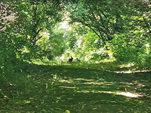 Nature Preserve «Cool Spring Preserve», reviews and photos, 1469 Lloyd Rd, Charles Town, WV 25414, USA