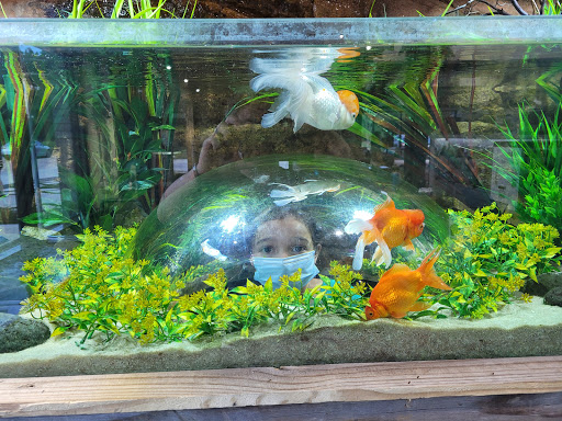 Tropical Fish Store «Fish Gallery», reviews and photos, 6955 Greenville Ave, Dallas, TX 75231, USA