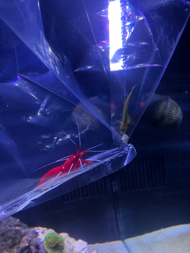 Tropical Fish Store «J B Tropical Fish», reviews and photos, 1950 N Black Horse Pike, Williamstown, NJ 08094, USA