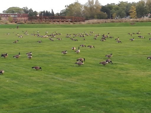 Gym «Wheeling Park District», reviews and photos, 333 W Dundee Rd, Wheeling, IL 60090, USA