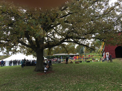 Winery «Morgan Creek Vineyards and Winery», reviews and photos, 23707 478th Ave, New Ulm, MN 56073, USA