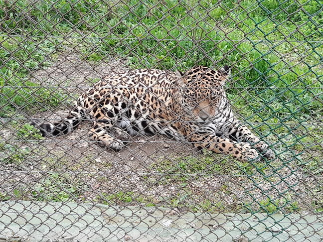 Reserva de Flora y Fauna Autóctona del Cerro Pan de Azúcar - Maldonado