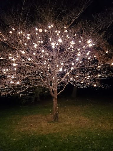 Tourist Attraction «Blithewold Mansion, Gardens & Arboretum», reviews and photos, 101 Ferry Rd, Bristol, RI 02809, USA