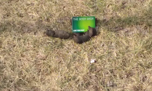 Park «Unity Playlot Park», reviews and photos, 2636 N Kimball Ave, Chicago, IL 60647, USA