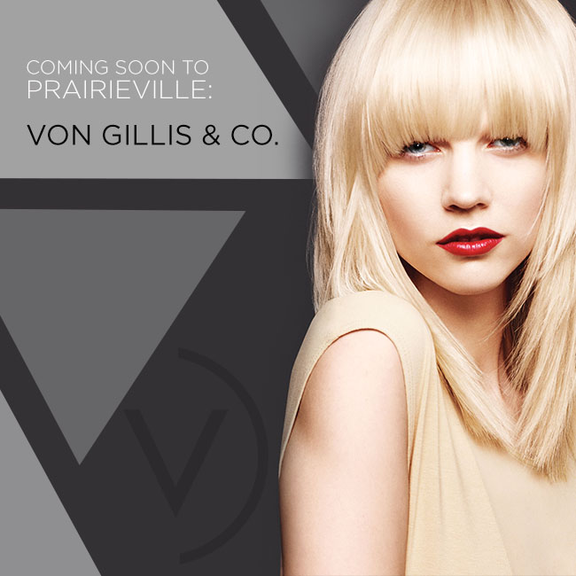 Von Gillis & CO the studio 70769