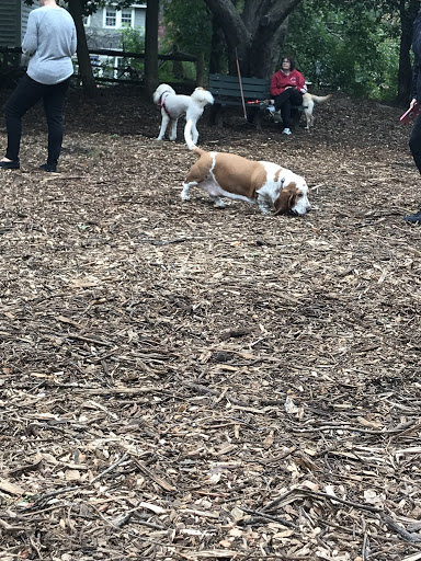 Park «Medway Dog Park», reviews and photos, 298 Village St, Medway, MA 02053, USA