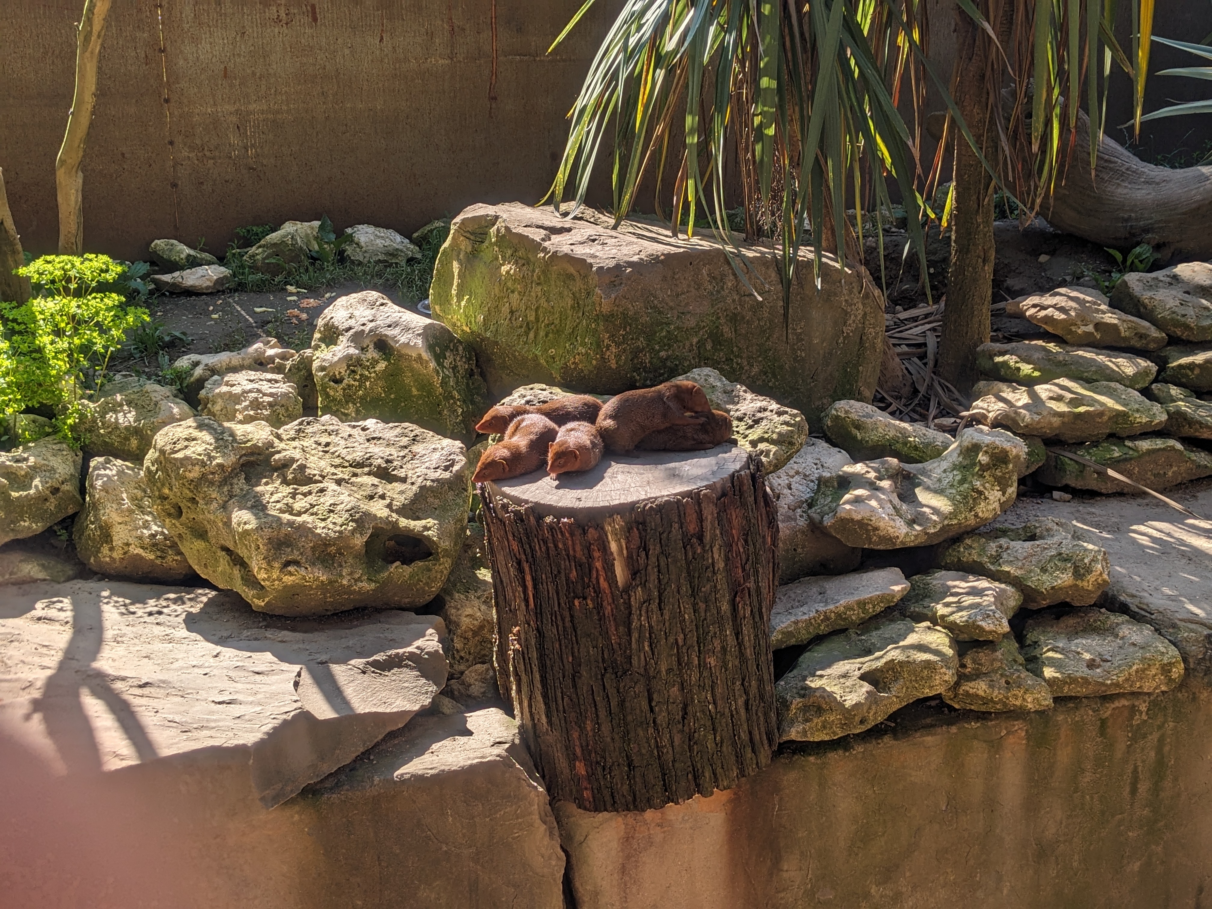 Photo n° 3 de l'avis de mathilde.a fait le 16/07/2023 à 19:21