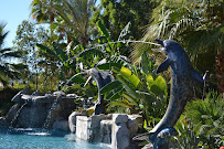 Vacation Pools, Inc. - Photo 4 - Car repair in Indio, CA, Indio