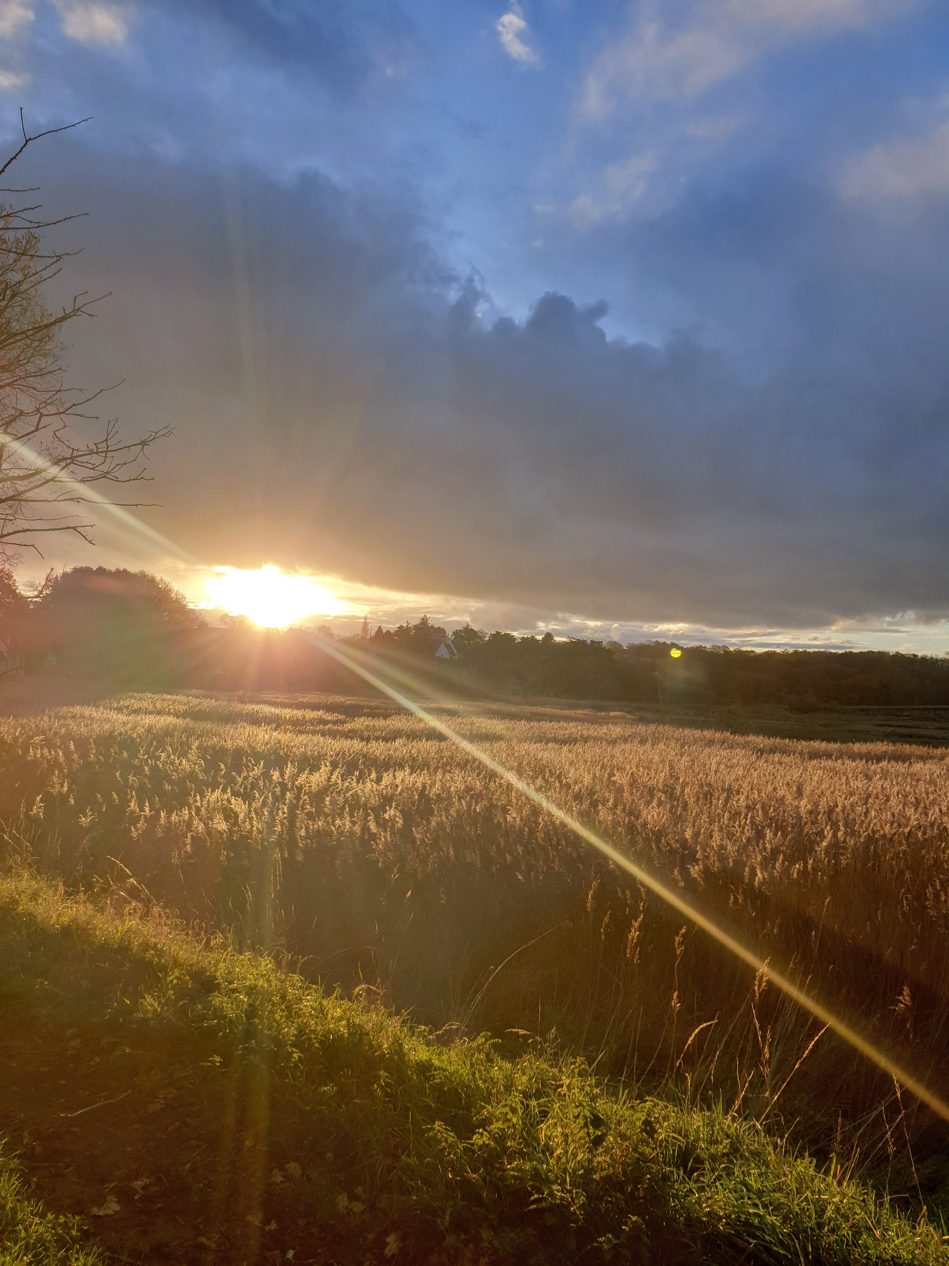 Photo n° 2 de l'avis de GORDANA. fait le 30/11/2023 à 20:51