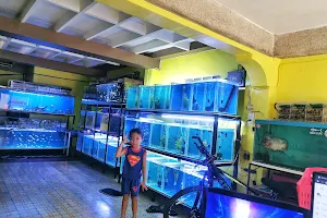 Ican Ni Chabu Aquatic Pet Shop image