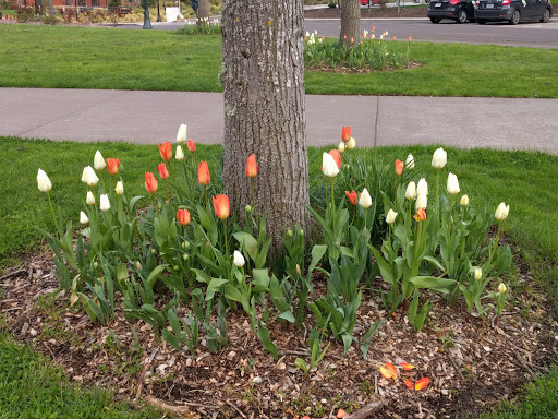 Student Union «Memorial Union», reviews and photos, 2501 SW Jefferson Way, Corvallis, OR 97331, USA