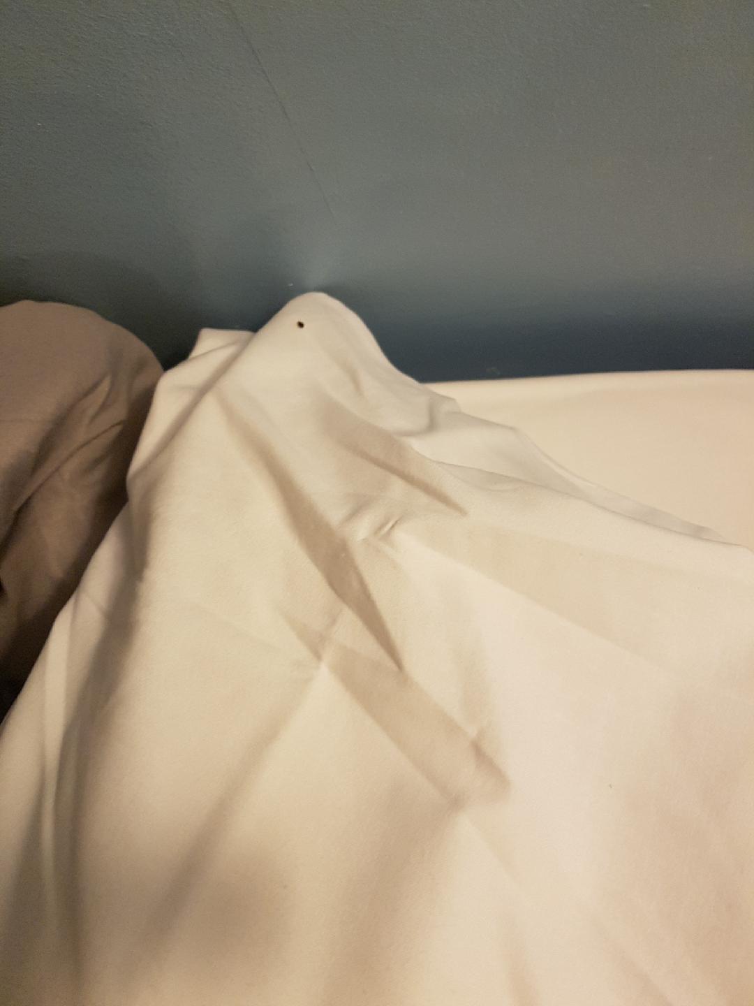 Photo n° 4 de l'avis de luka.c fait le 12/09/2018 à 18:22