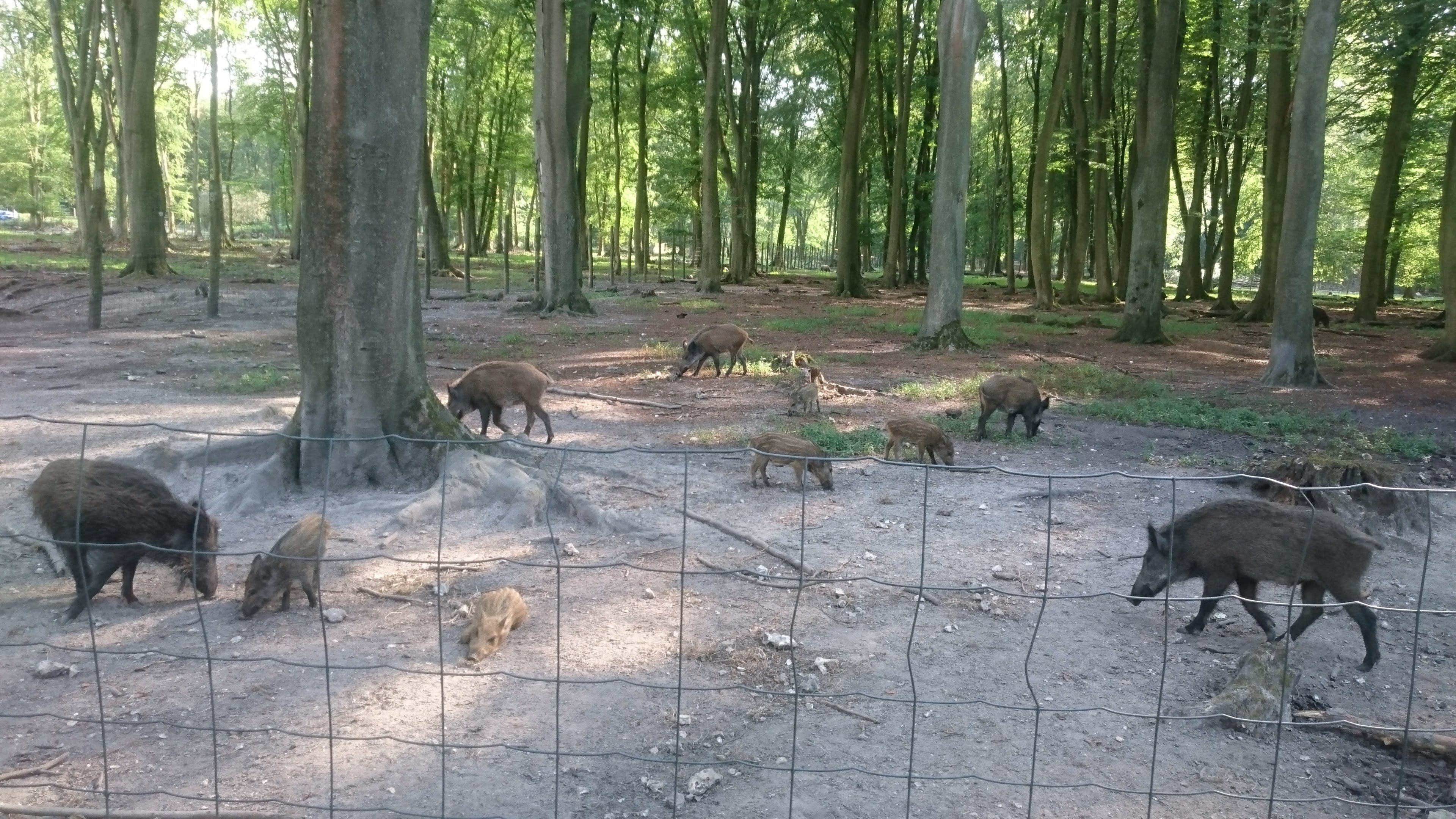 Photo n° 1 de l'avis de Nicolas.u fait le 26/07/2018 à 22:58