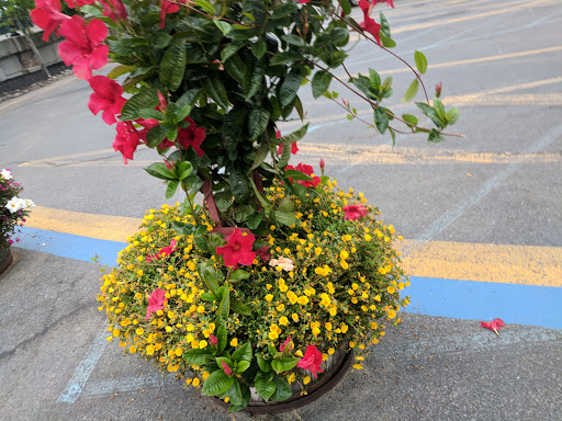 Theme Park «The Great Escape & Splashwater Kingdom», reviews and photos, 89 Six Flags Dr, Queensbury, NY 12804, USA