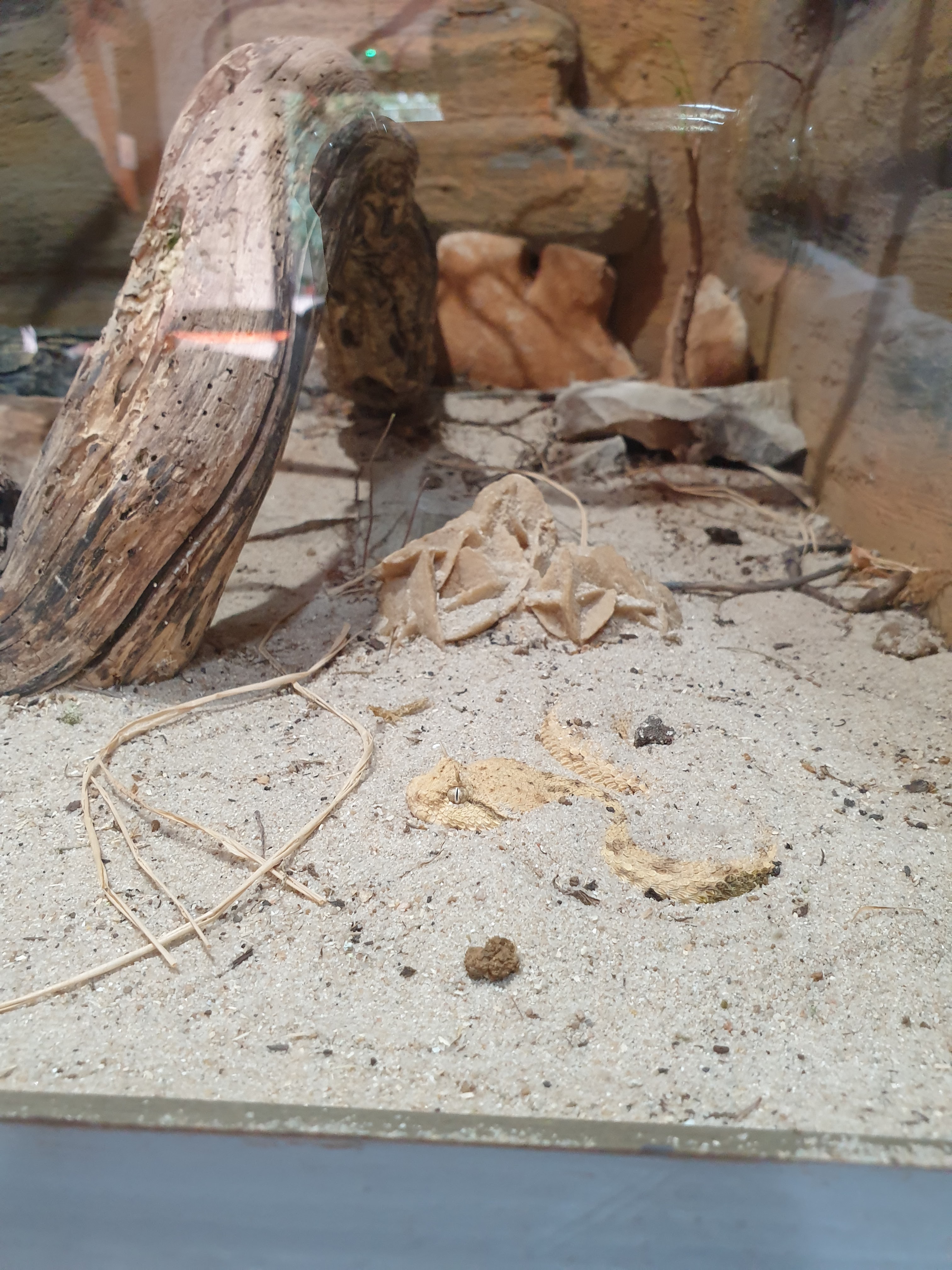 Photo n° 9 de l'avis de Théo.e fait le 14/05/2022 à 14:15