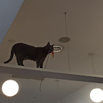 Photo n°5 de l'avis de marta.s fait le 01/08/2023 à 18:37 sur le  Crazy Cat Café à Milan