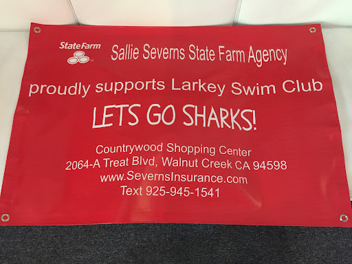 Auto Insurance Agency «State Farm: Sallie Severns», reviews and photos