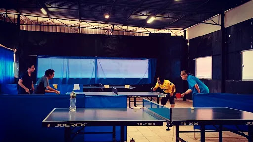 Ping Pong House Table Tennis Club