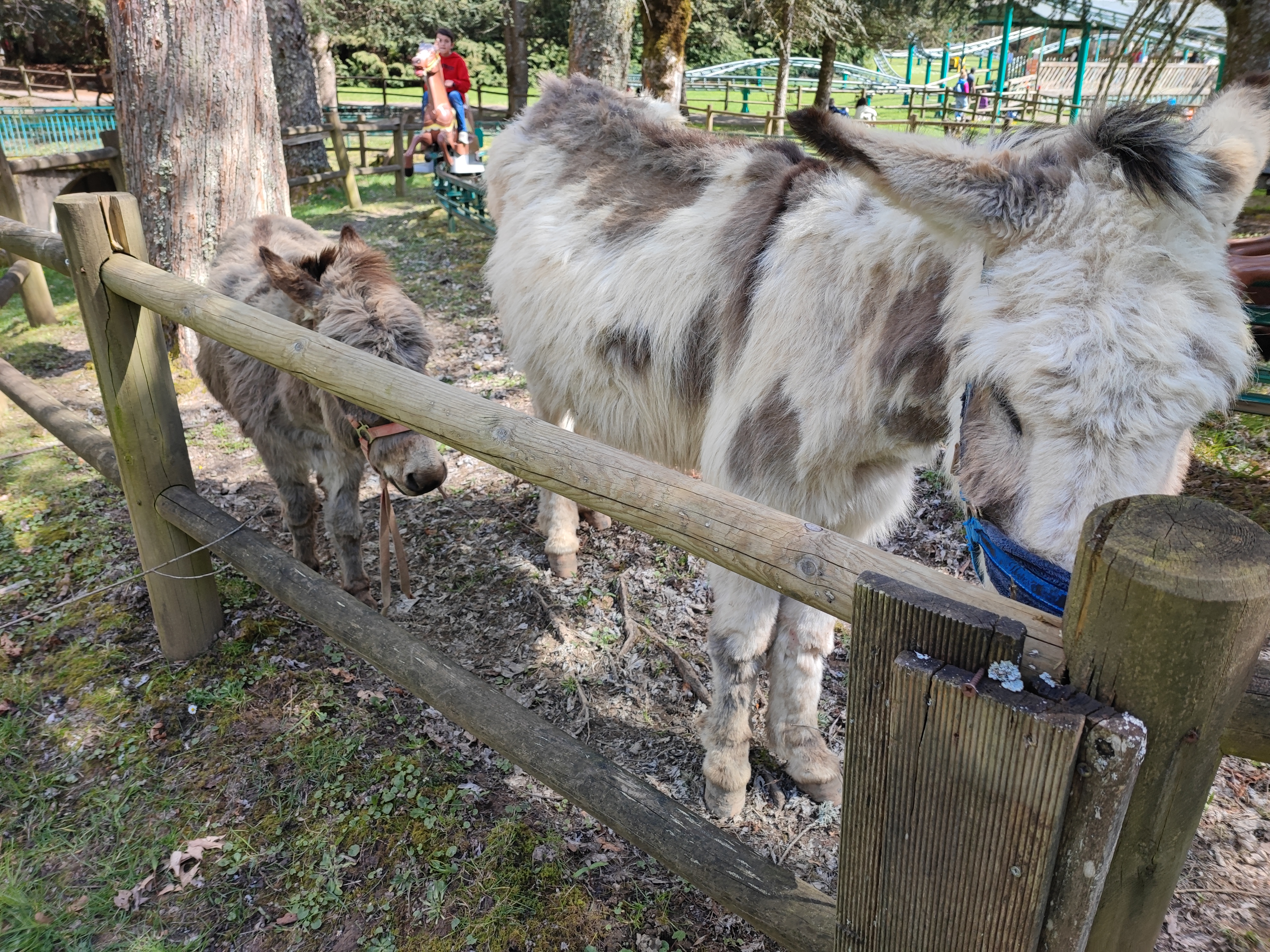 Photo n° 1 de l'avis de Martine.I fait le 01/05/2023 à 14:56