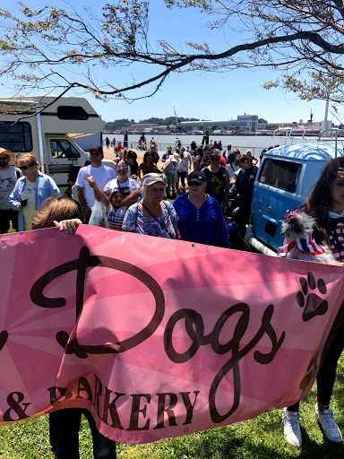 Pet Supply Store «Haute Dogs Boutique & Barkery», reviews and photos, 507 Georgia St, Vallejo, CA 94590, USA