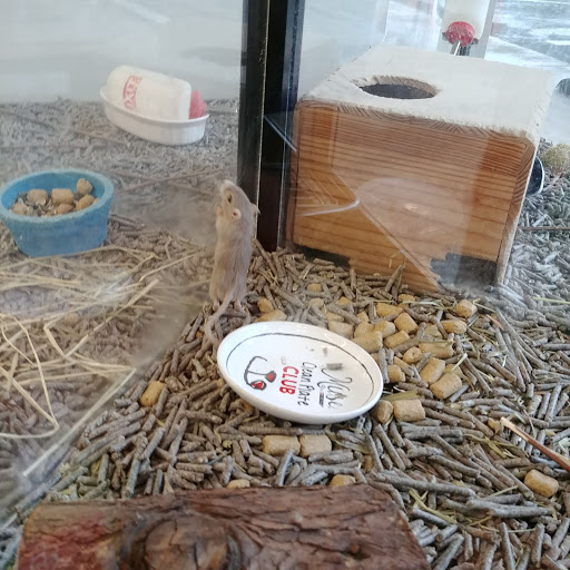 Pet Store «Delhi Pet Center», reviews and photos, 5665 Rapid Run Rd, Cincinnati, OH 45238, USA