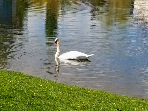 Public Golf Course «BanBury Golf Course Eagle», reviews and photos, 2626 S Marypost Pl, Eagle, ID 83616, USA