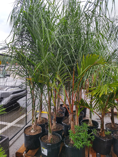 Home Improvement Store «The Home Depot», reviews and photos, 102 Aldi Dr, North Versailles, PA 15137, USA