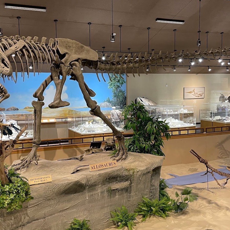 Dickinson Museum Center & Badlands Dinosaur Museum