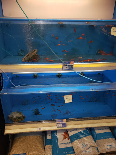 Pet Supply Store «PetSmart», reviews and photos, 3780 Riverchase Village #300, Hoover, AL 35244, USA