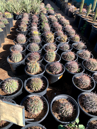 Gas Station «Circle K», reviews and photos, 12707 W Grand Ave, Surprise, AZ 85374, USA