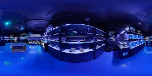 Aquarium «Aquatic Design & Development Group, LLC», reviews and photos, 1725 SW 17th St, Ocala, FL 34471, USA