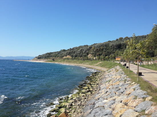Darıca Plajı