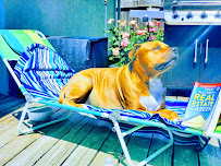 Hadas Daniel Broker Associate DRE#02089063 - Photo 9 - Car repair in Fairfield, CA, Fairfield