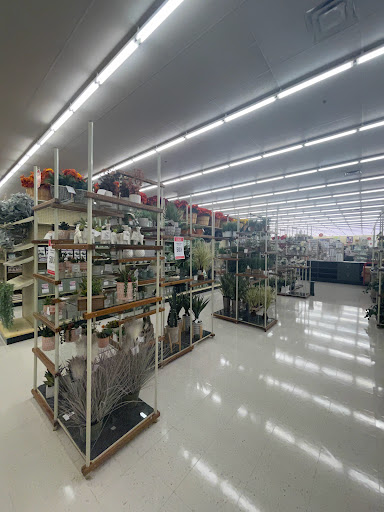 Craft Store «Hobby Lobby», reviews and photos, 5744 Hwy 6, Missouri City, TX 77459, USA