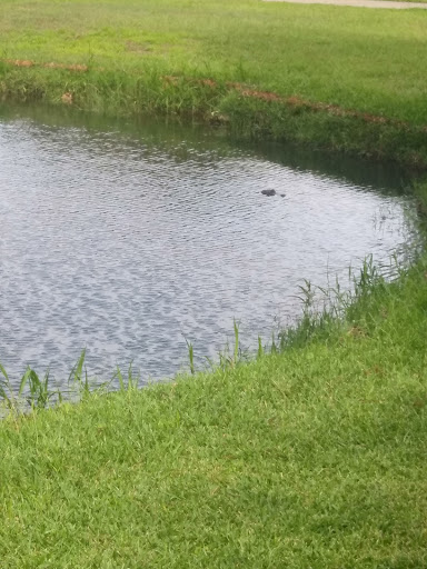 Botanical Garden «Brookgreen Gardens», reviews and photos, 1931 Brookgreen Garden Dr, Murrells Inlet, SC 29576, USA