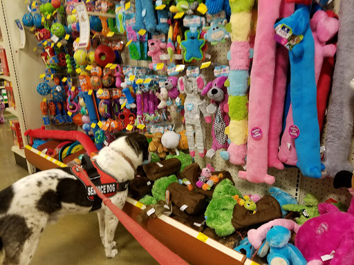 Pet Supply Store «PetSmart», reviews and photos, 2201 Gallatin Pike N, Madison, TN 37115, USA