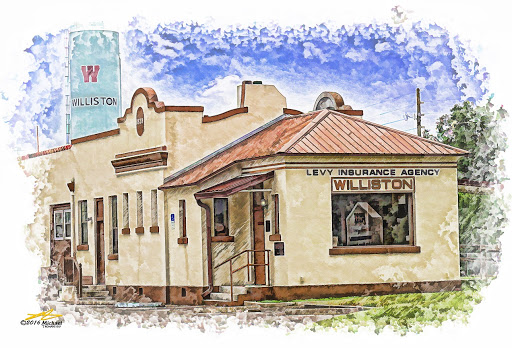 Insurance Agency «Levy Insurance Agency, Inc.», reviews and photos