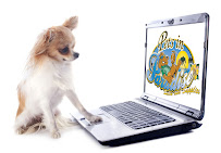 Pets in Paradise 2 - Photo 8 - Car repair in Hamilton Township, NJ, Trenton