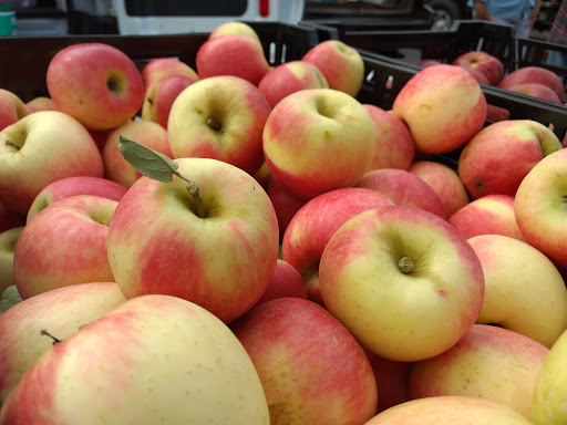 Arts Organization «HART Theatre», reviews and photos, 250 Pigeon St, Waynesville, NC 28786, USA