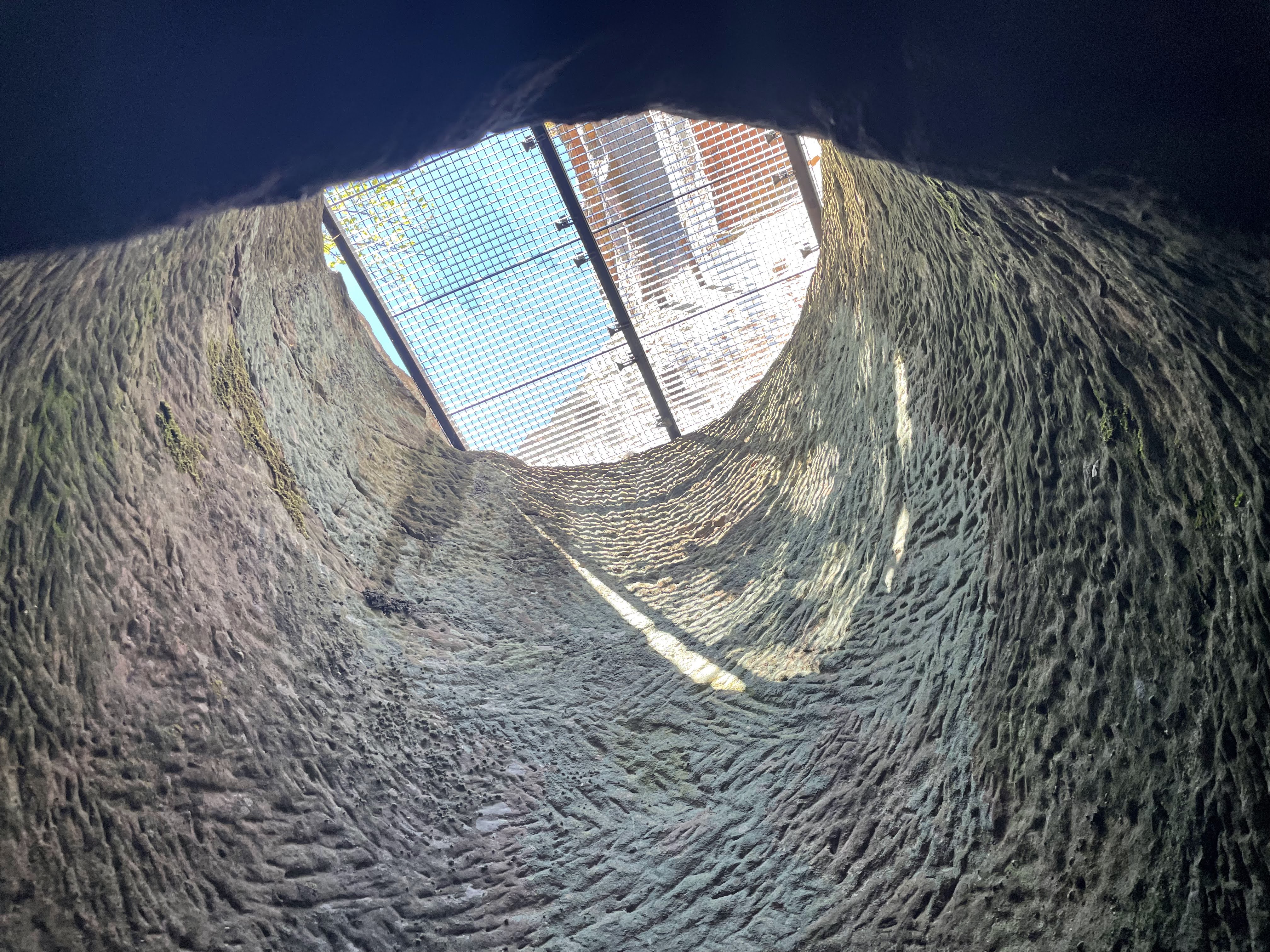 Photo n° 3 de l'avis de Jan. fait le 02/09/2022 à 11:11